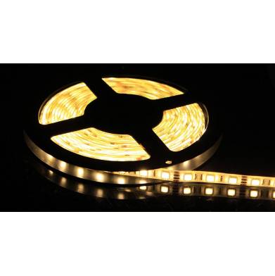 Lighting Products