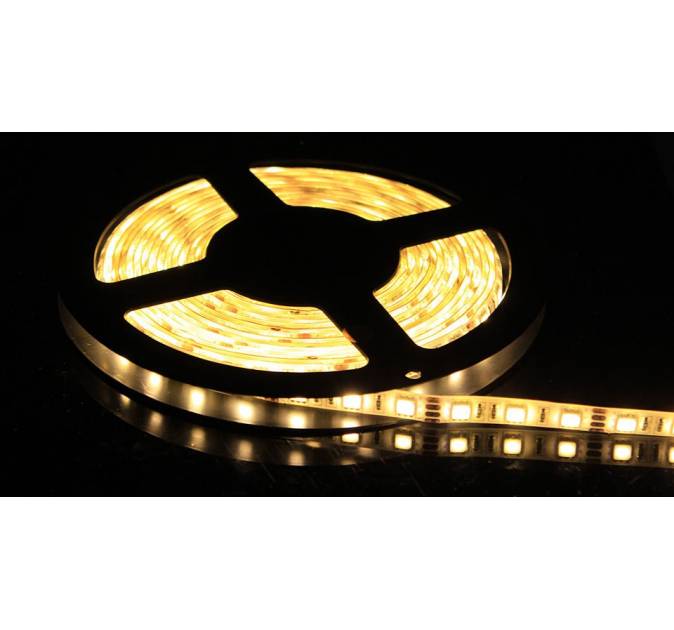 Lighting Products